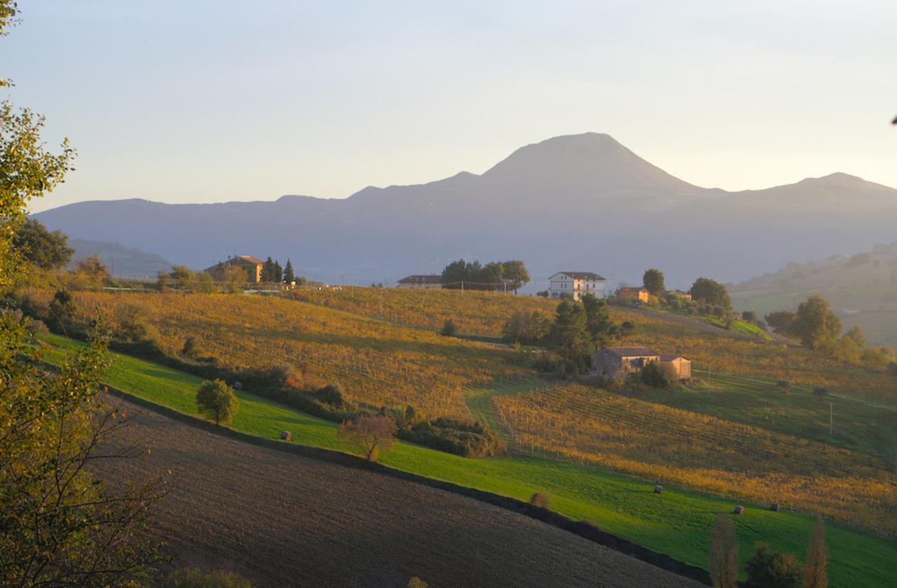 Bed and Breakfast La Girandola Cupramontana Экстерьер фото